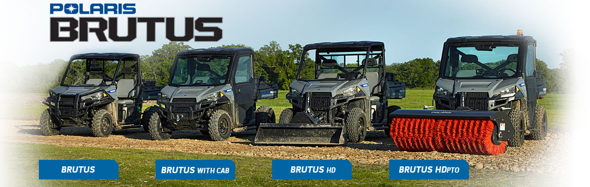 ���������� � ���� �������������� Polaris Brutus